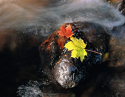 1118911614358193103248152200452351806517620