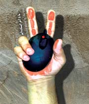 193100678120414925314481144140191412231324