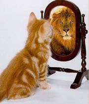 52217230107302913513167178166107154254155188