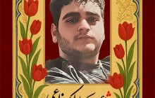 فایل لایه باز تصویر شهید زارعی