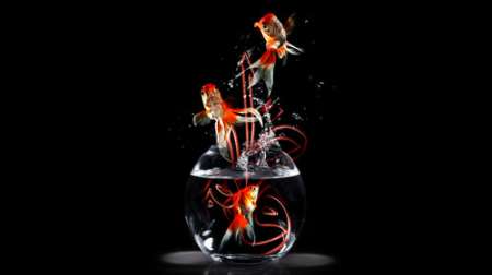 نوروز فاطمی