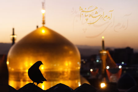 حرم امام رضا (ع)/ آمدم ای شاه پناهم بده