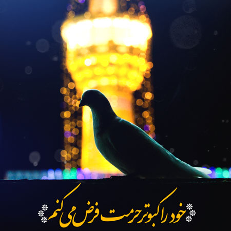 حرم امام رضا (ع)