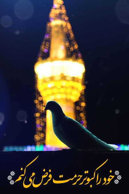 حرم امام رضا (ع)