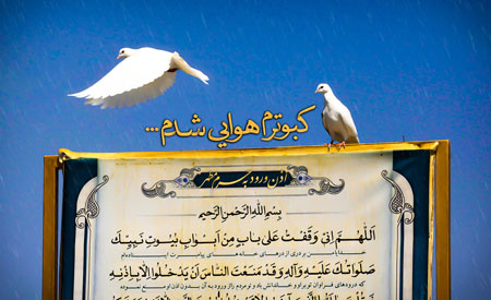 حرم امام رضا (ع)