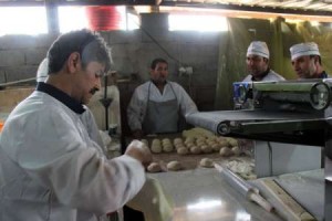 موکب احباب الرضا شهرستان ورامین