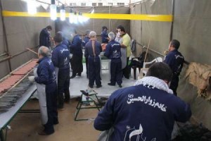 موکب احباب الرضا شهرستان ورامین