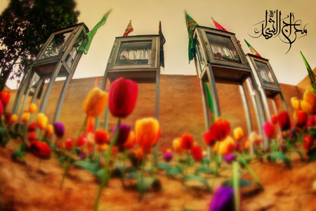 معراج شهداء