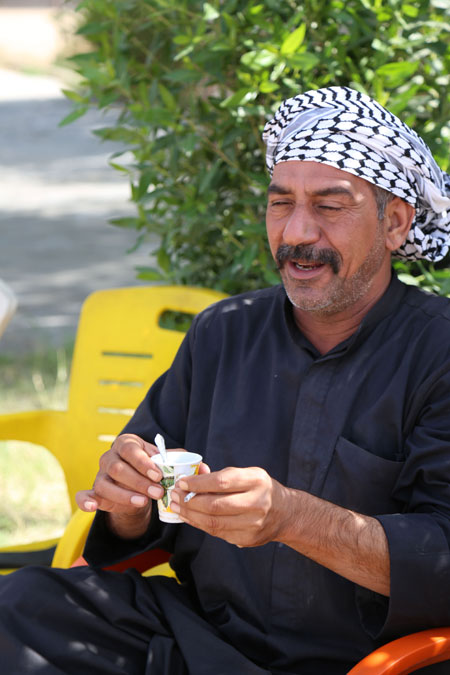 راهپیمایی اربعین ، مشایة الأربعین ، arbaeen