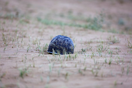 rahian-96-www-asr-entezar-ir-053