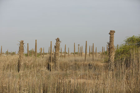 rahian-97-www-asr-entezar-ir-008