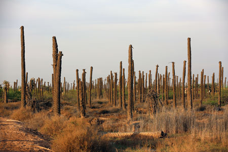 rahian-97-www-asr-entezar-ir-013