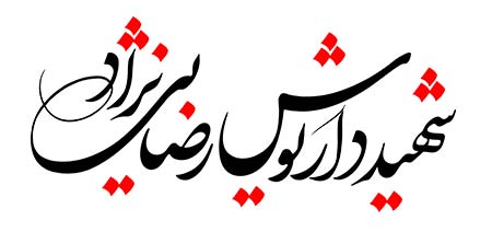 شهید داریوش رضایی نژاد