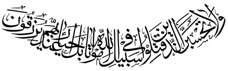 ولاتحسبن الذین قتلوا فی سبیل الله امواتا