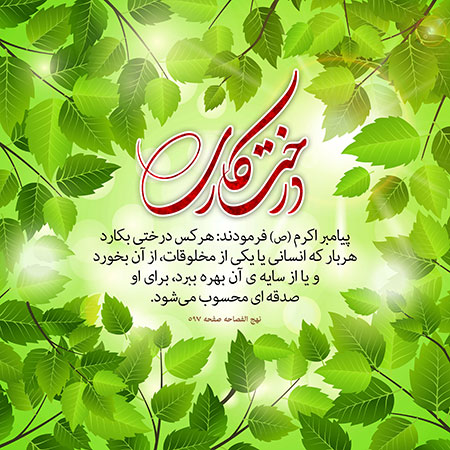 روز درخت کاری