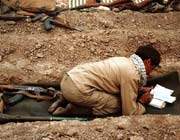 20995651052249112182145164247312530193235