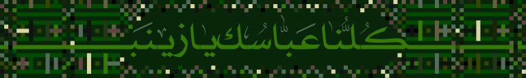 کلنا عباسک یا زینب