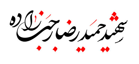 شهید حمیدرضا رجب زاده