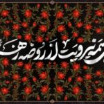 ای همه نیرویت از روضه زهرا (س)